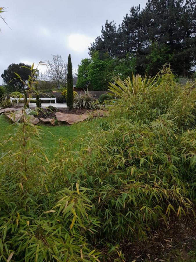 Chambre Dans Un Ecrin De Verdure Angrie 外观 照片