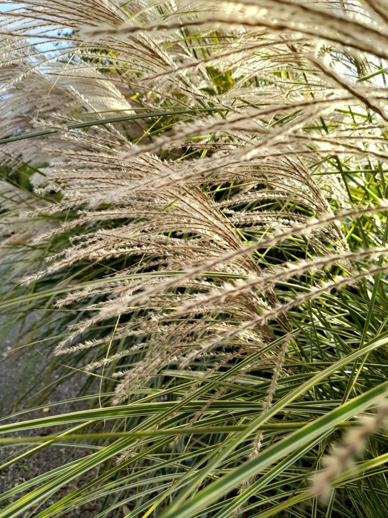 Chambre Dans Un Ecrin De Verdure Angrie 外观 照片