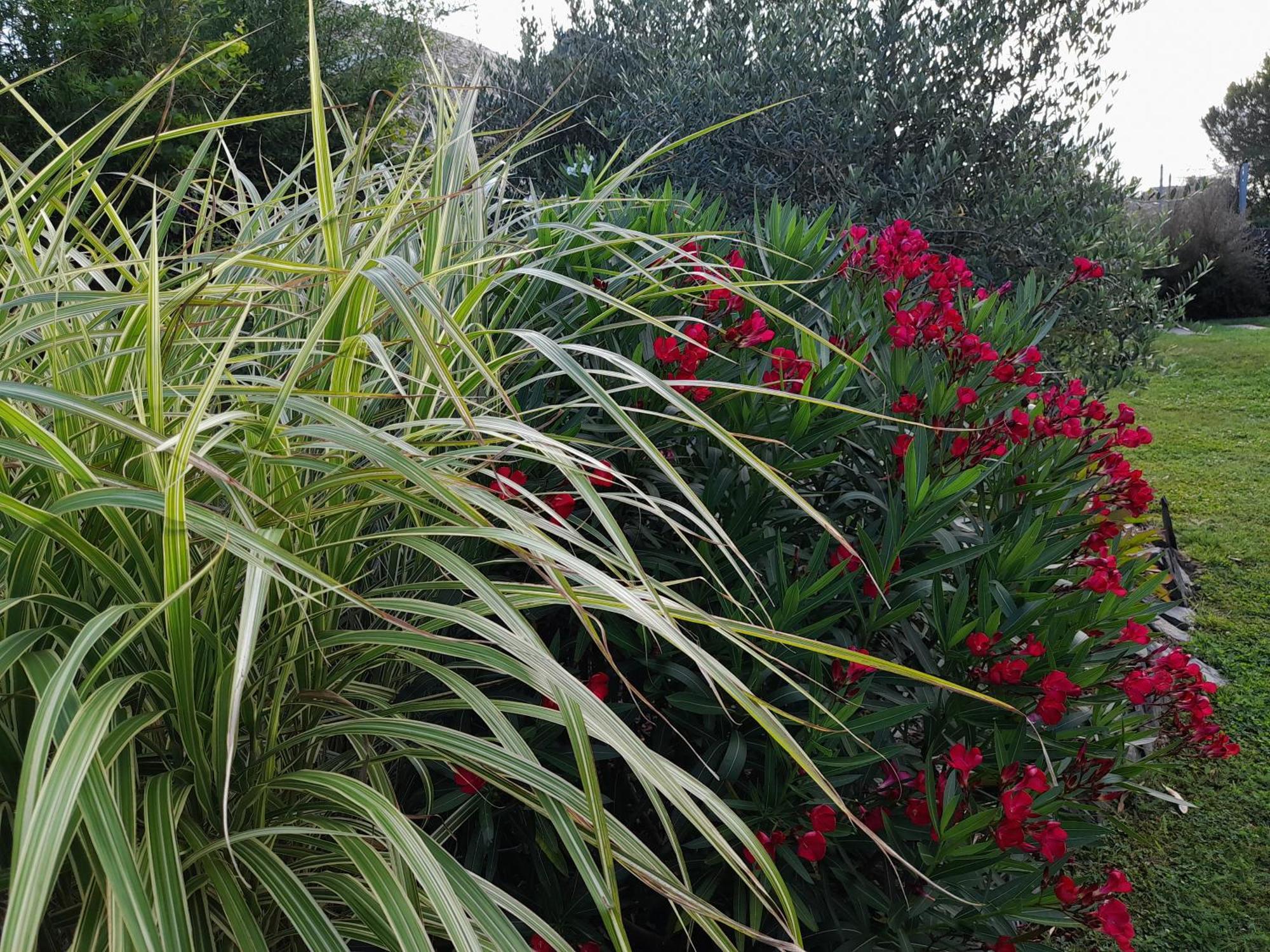 Chambre Dans Un Ecrin De Verdure Angrie 外观 照片